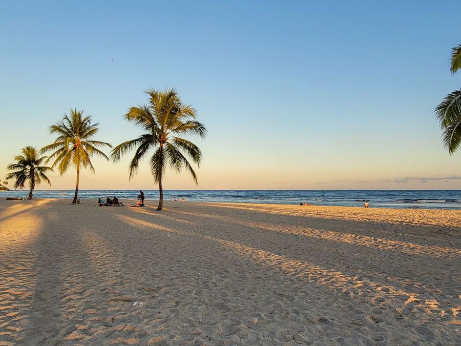 Palm trees over the sand of Juan Dolio beach at sunset